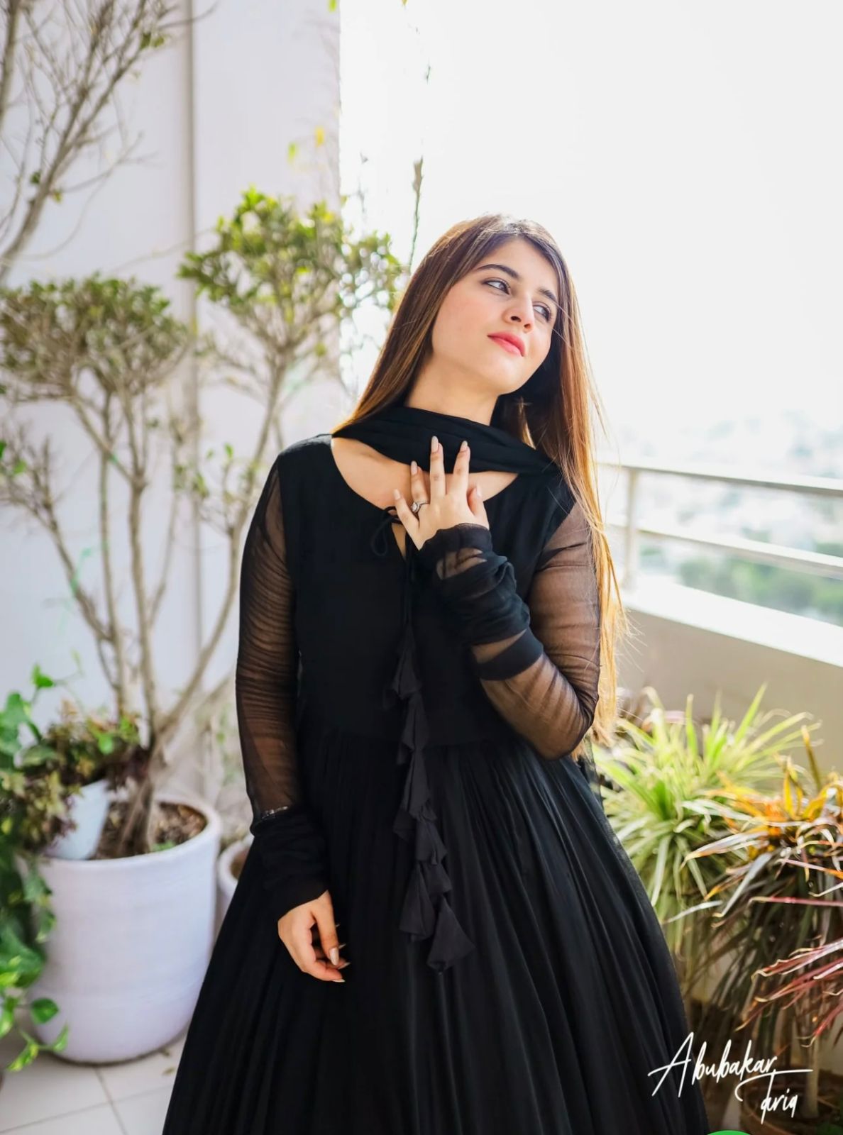 new collections
